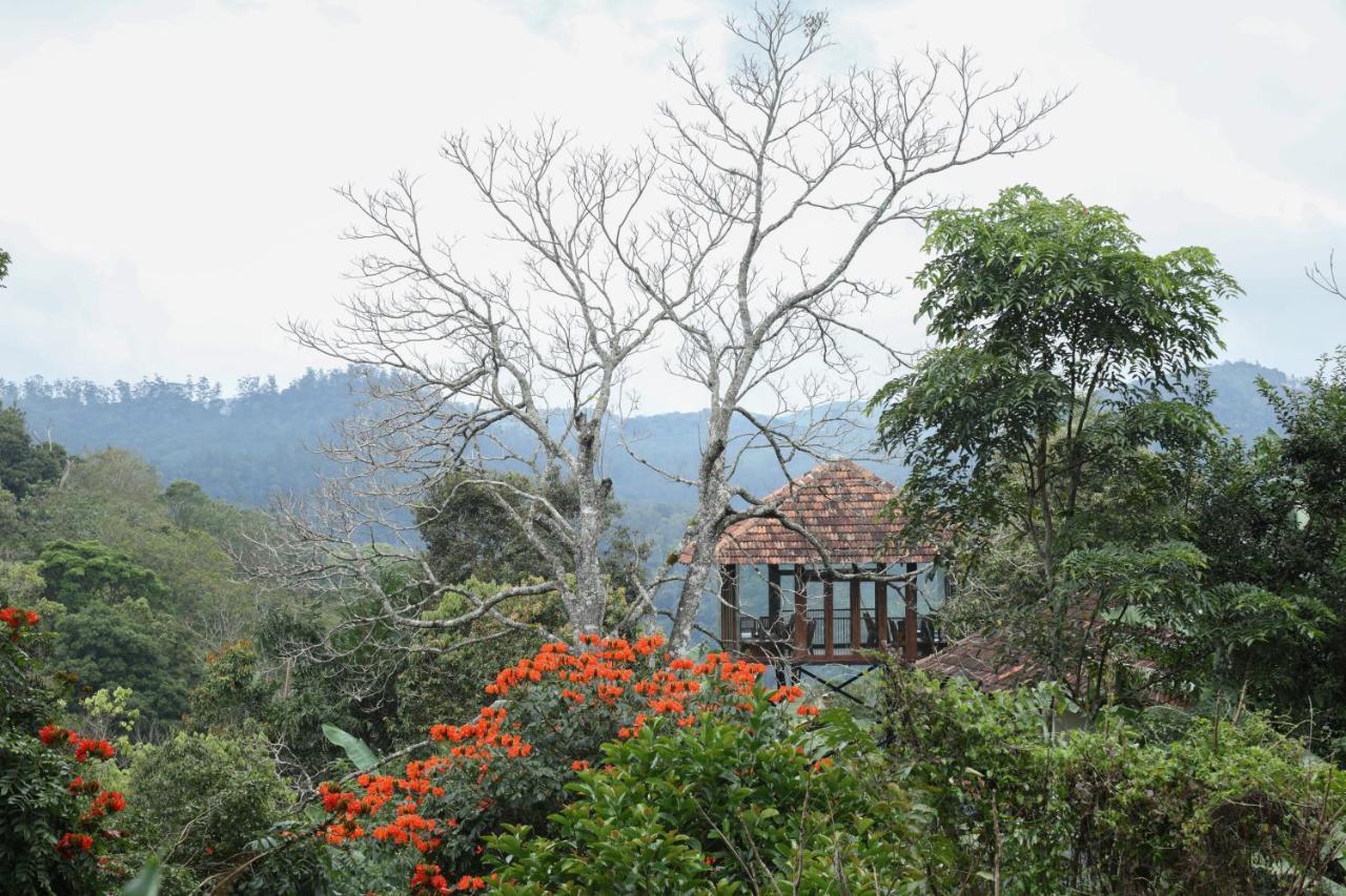 Spice Forest Plantation Homestay, Thekkady Vandiperiyār Kültér fotó