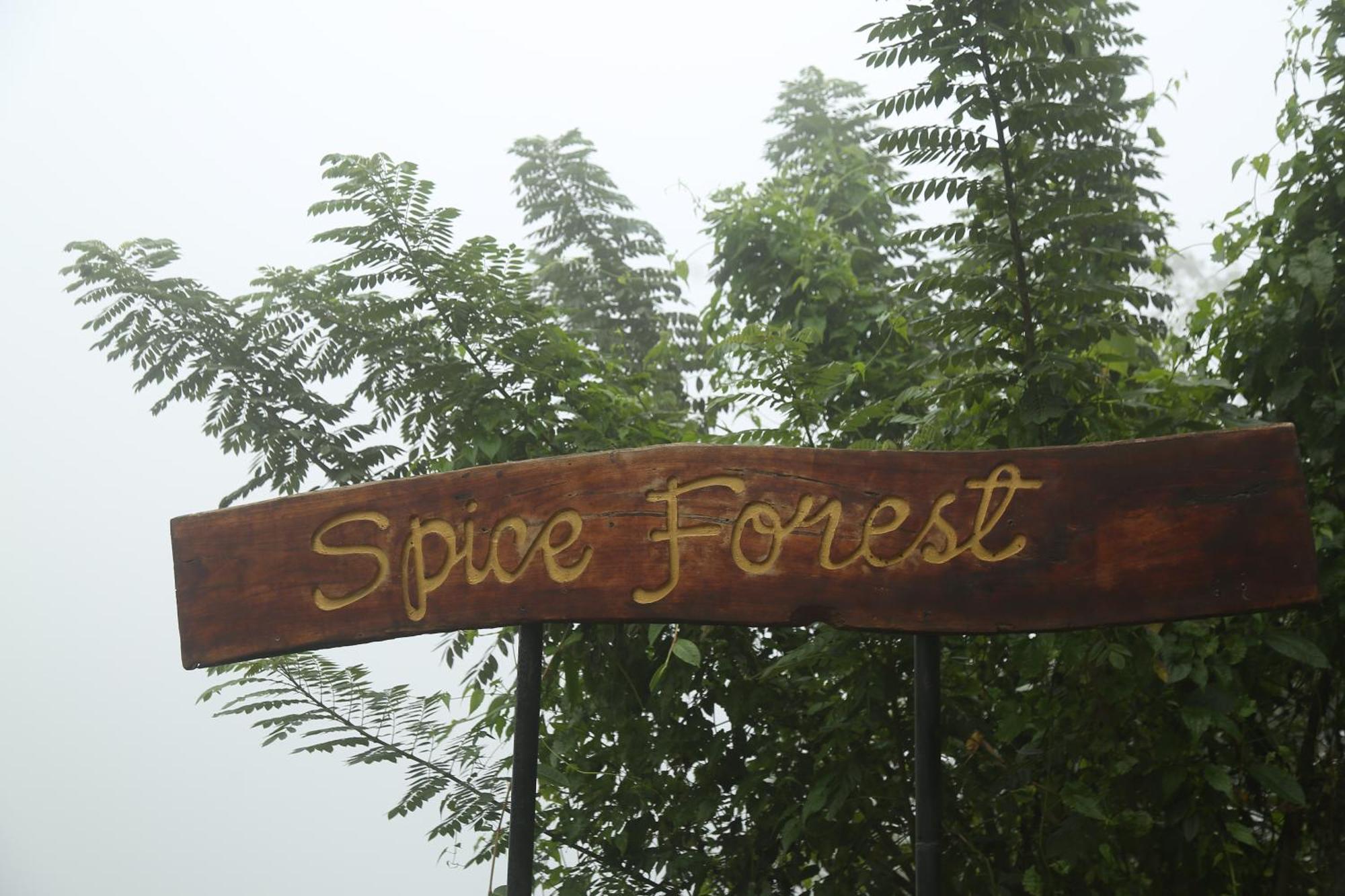 Spice Forest Plantation Homestay, Thekkady Vandiperiyār Kültér fotó