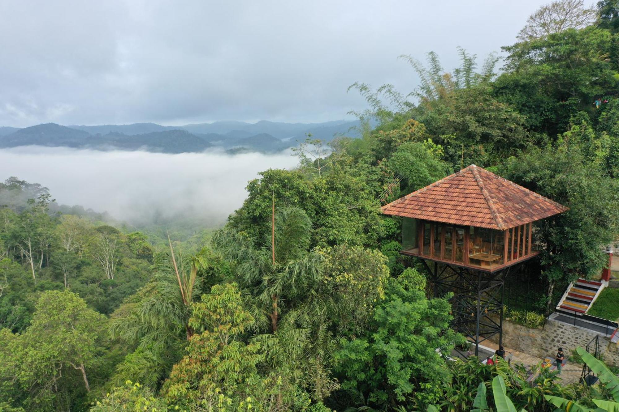 Spice Forest Plantation Homestay, Thekkady Vandiperiyār Kültér fotó