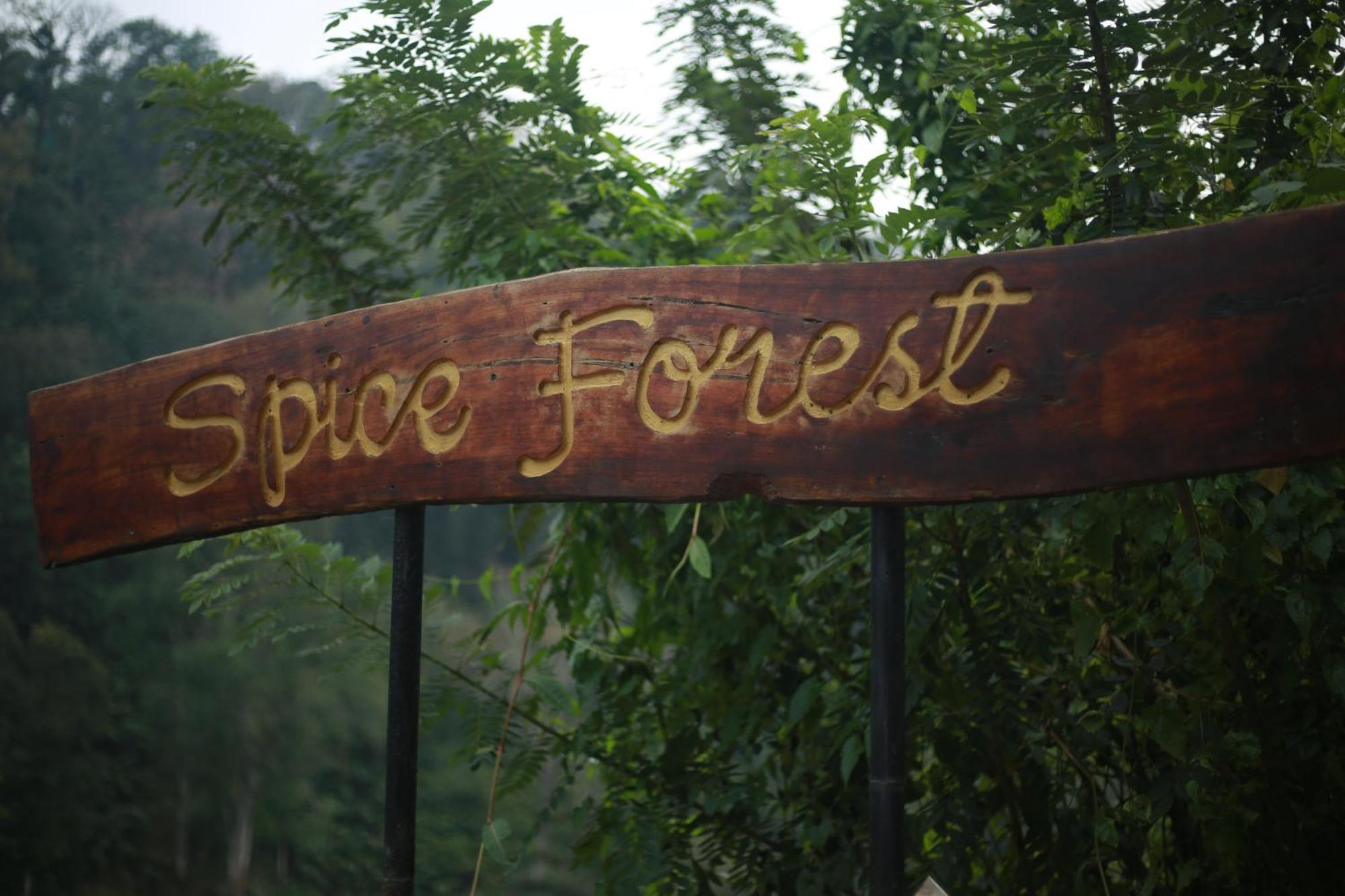 Spice Forest Plantation Homestay, Thekkady Vandiperiyār Kültér fotó